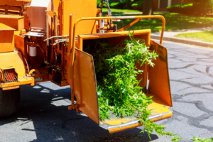 Bay Area Tree Company
